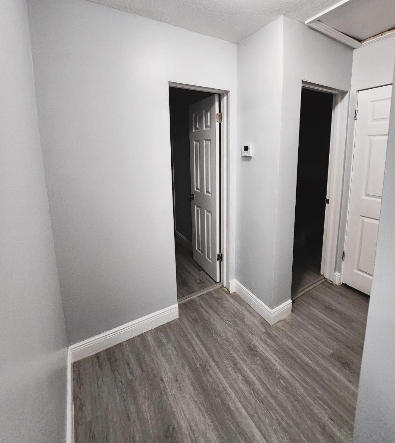 Cozy 3 Bedroom House Near Airport/Raymond Stadium/Downtown. Tampa Eksteriør bilde